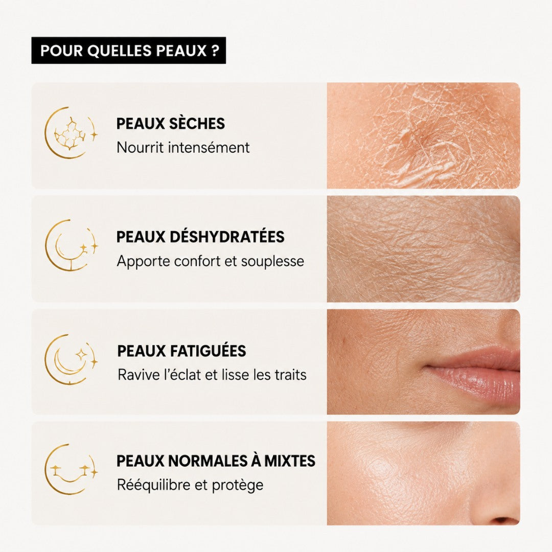 Crème nuit au rétinol | SOIDOR Level 03