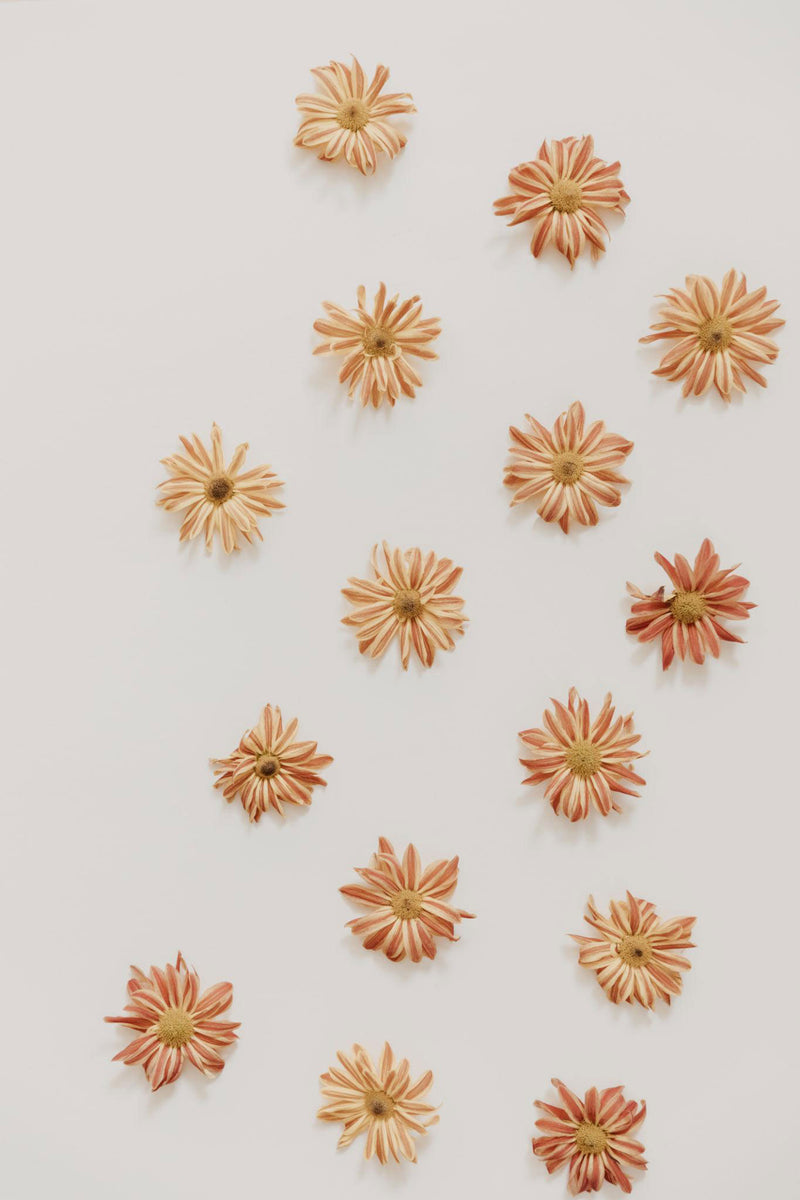 CANDELILLA